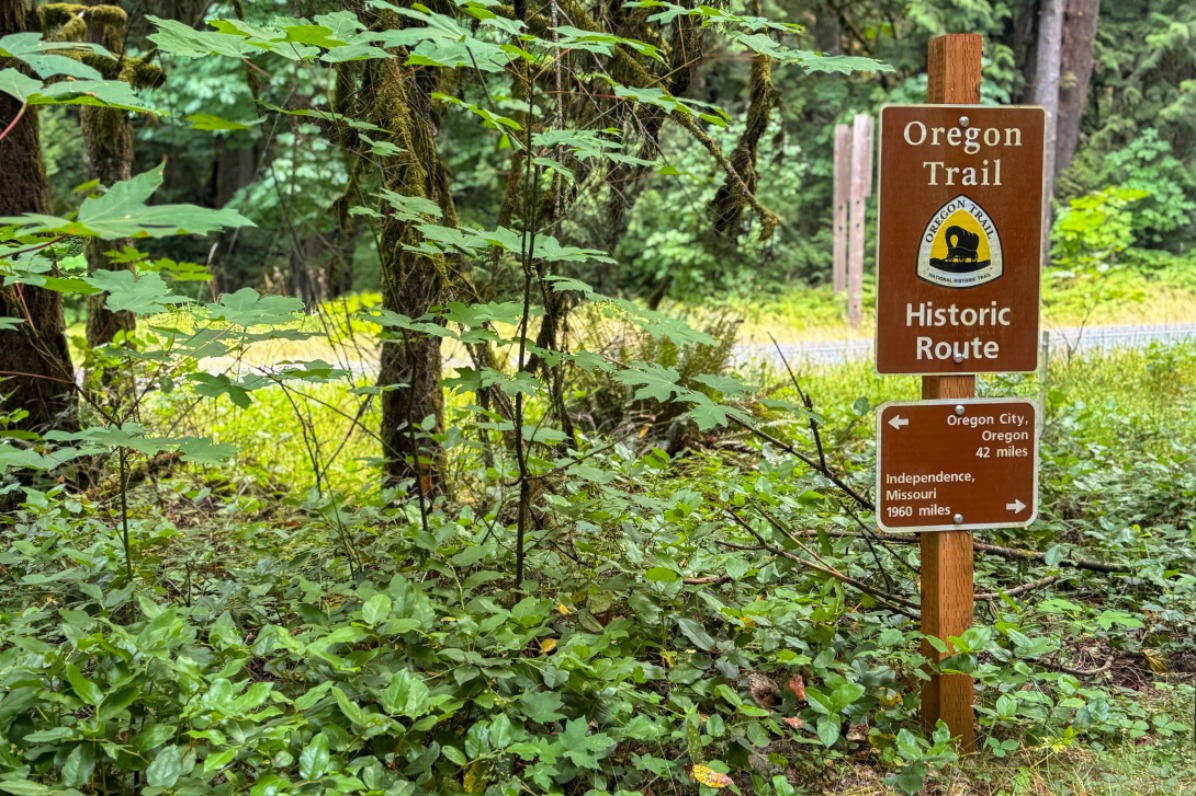 A brown sign against green