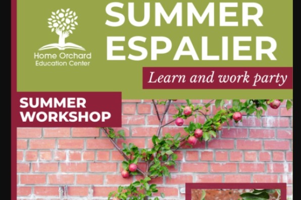 Summer Espalier - Learn and Work party