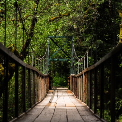Suspension bridge at Eagle Fern Park surrounded by lush green trees, leading into a serene forest path. Sunlight filters through the foliage.