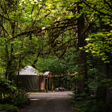 A cozy yurt nestled among lush green trees, with a gravel path leading to it. Soft lights adorn the entrance, creating a serene atmosphere.