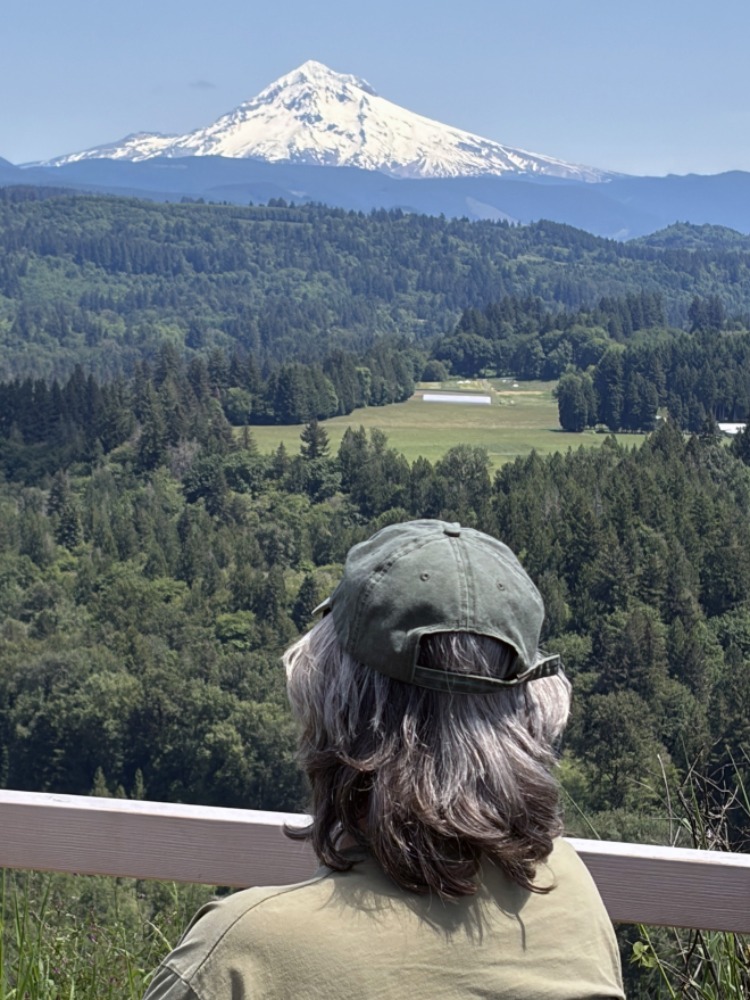 A person views a snowcovered mountain in the distance.