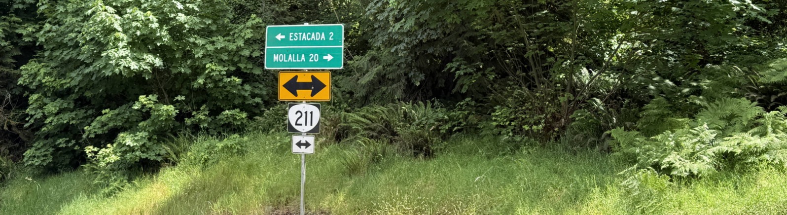 A green road sign against green trees