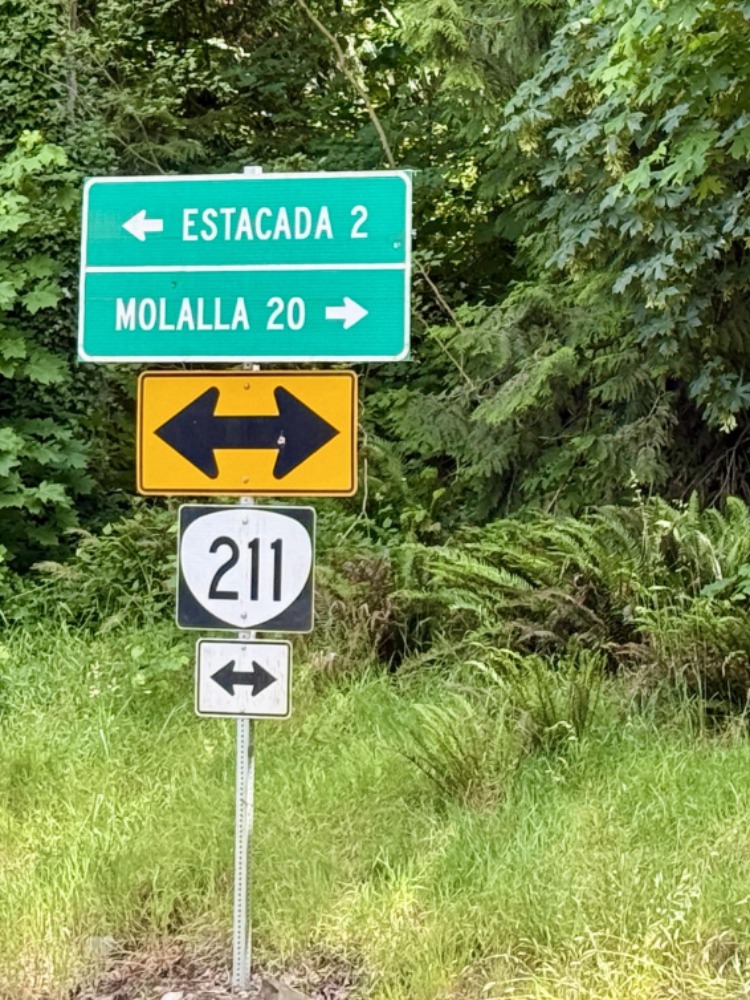 A green road sign against green trees