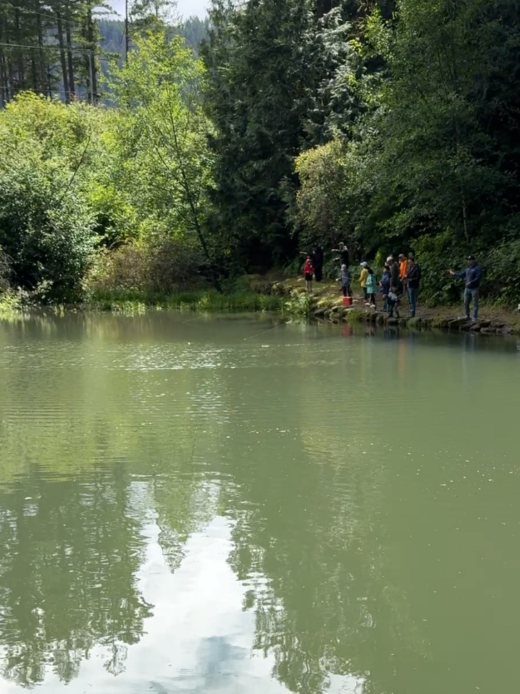 Anglers on a lake