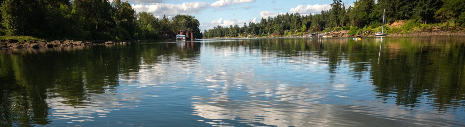 A white dog rides on a blue SUP on a calm lake