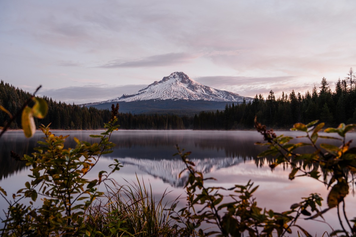 Snow-capped Mt. Hood reflects in Trillium Lake, surrounded by lush greenery and misty forest under a soft, pastel sky.