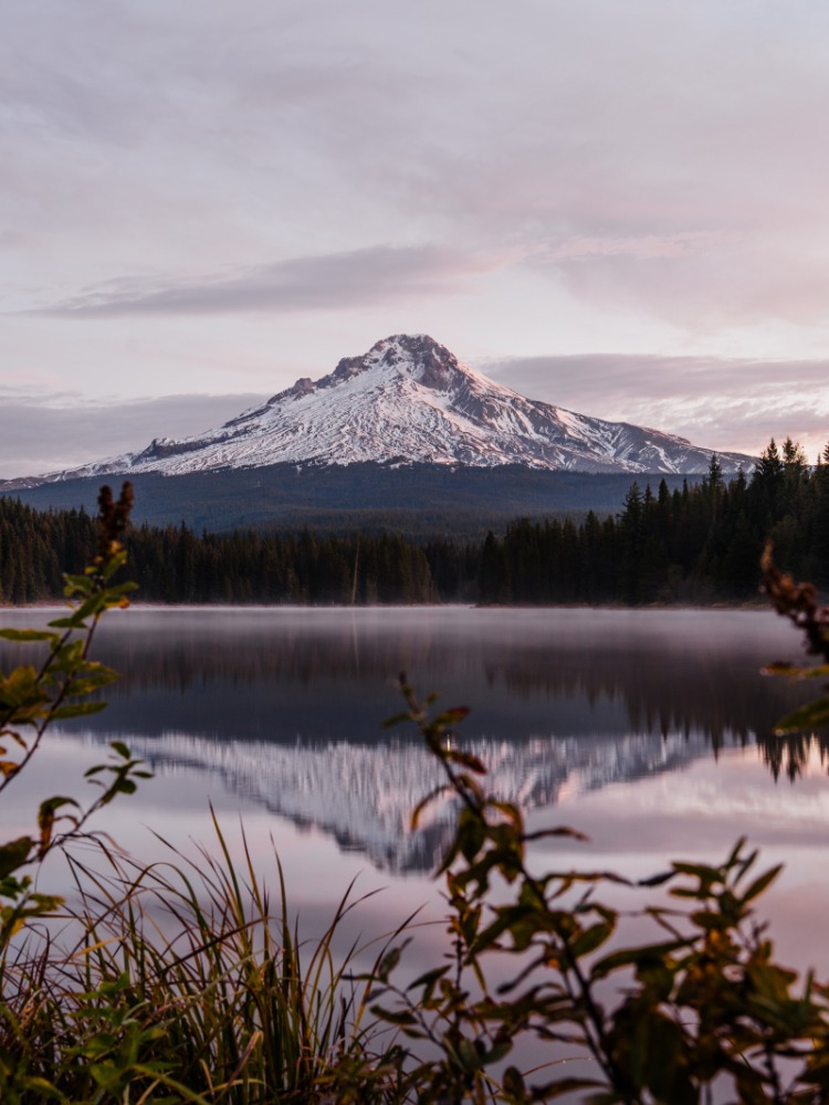 Snow-capped Mt. Hood reflects in Trillium Lake, surrounded by lush greenery and misty forest under a soft, pastel sky.