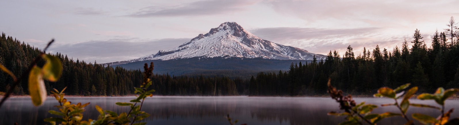 Snow-capped Mt. Hood reflects in Trillium Lake, surrounded by lush greenery and misty forest under a soft, pastel sky.