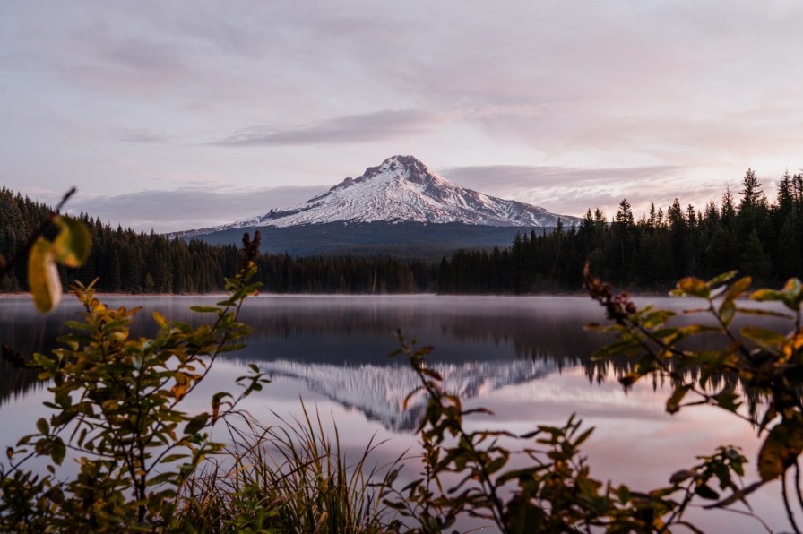 Snow-capped Mt. Hood reflects in Trillium Lake, surrounded by lush greenery and misty forest under a soft, pastel sky.