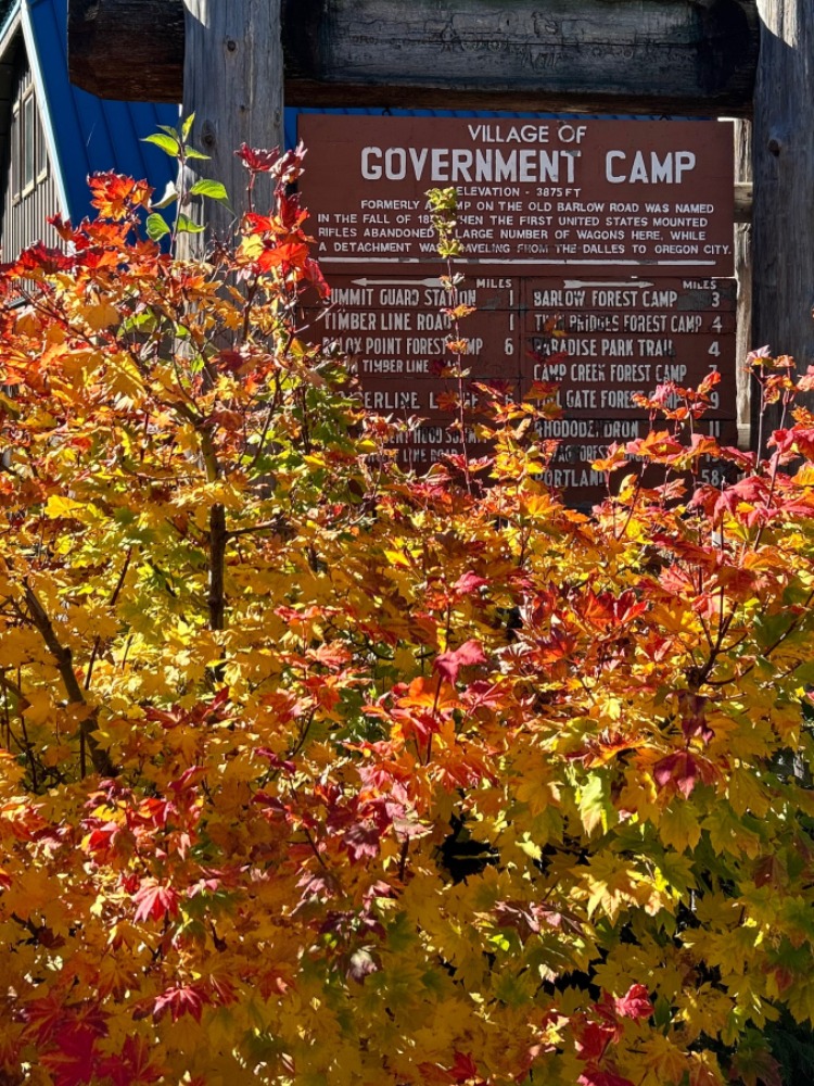 Orange and yellow fall leaves in front of a wood sign
