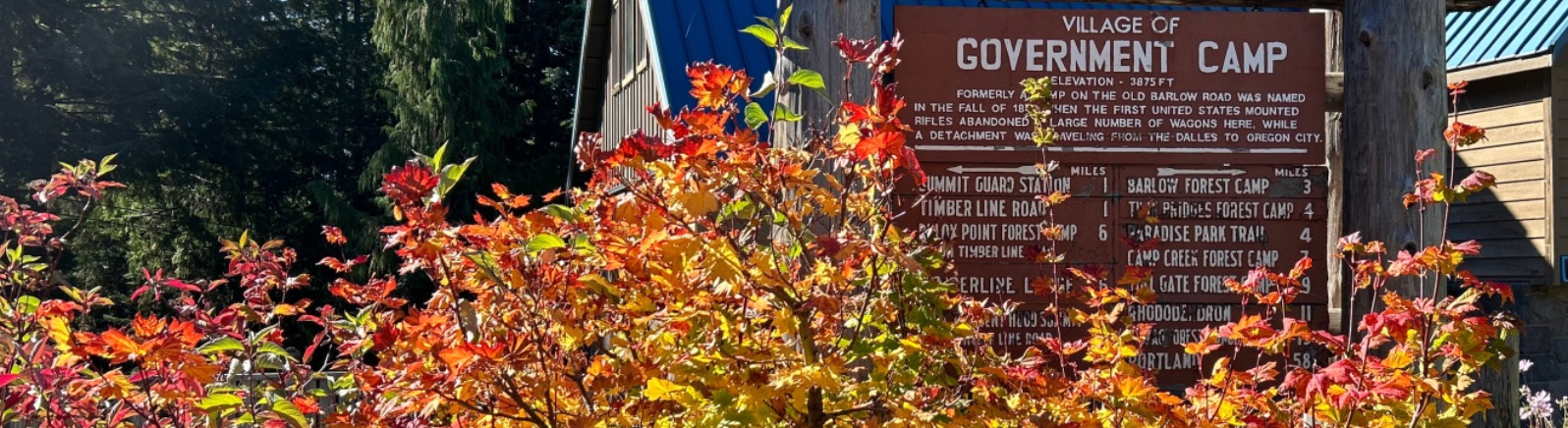 Orange and yellow fall leaves in front of a wood sign