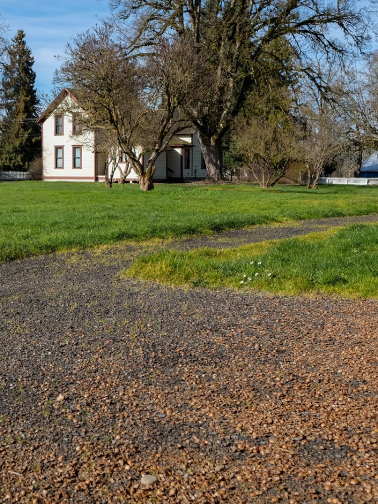 Gravel on a path with green grass around it