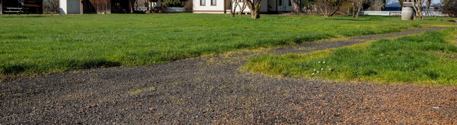 Gravel on a path with green grass around it