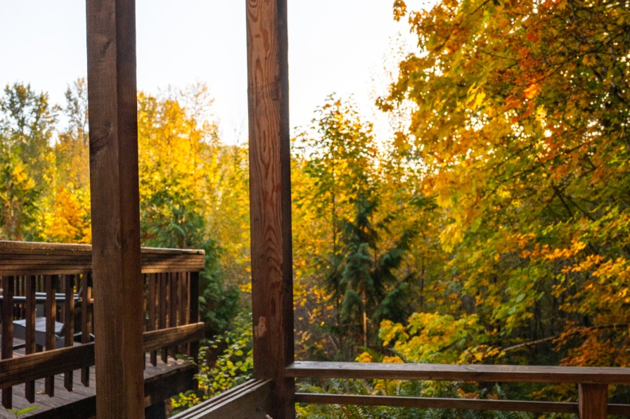 Hot tub surrounded by fall foliage