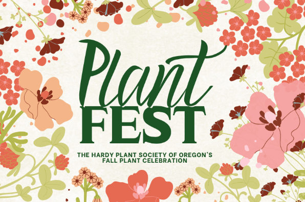 Plant Fest