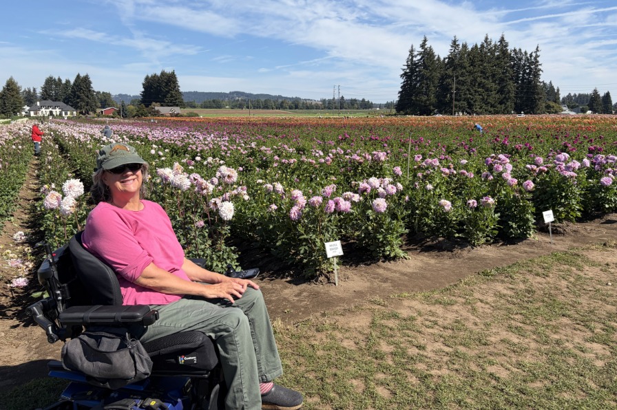 Swan Island Dahlia Festival in Canby, Oregon A person in a pink shirt in a field with purple flowers