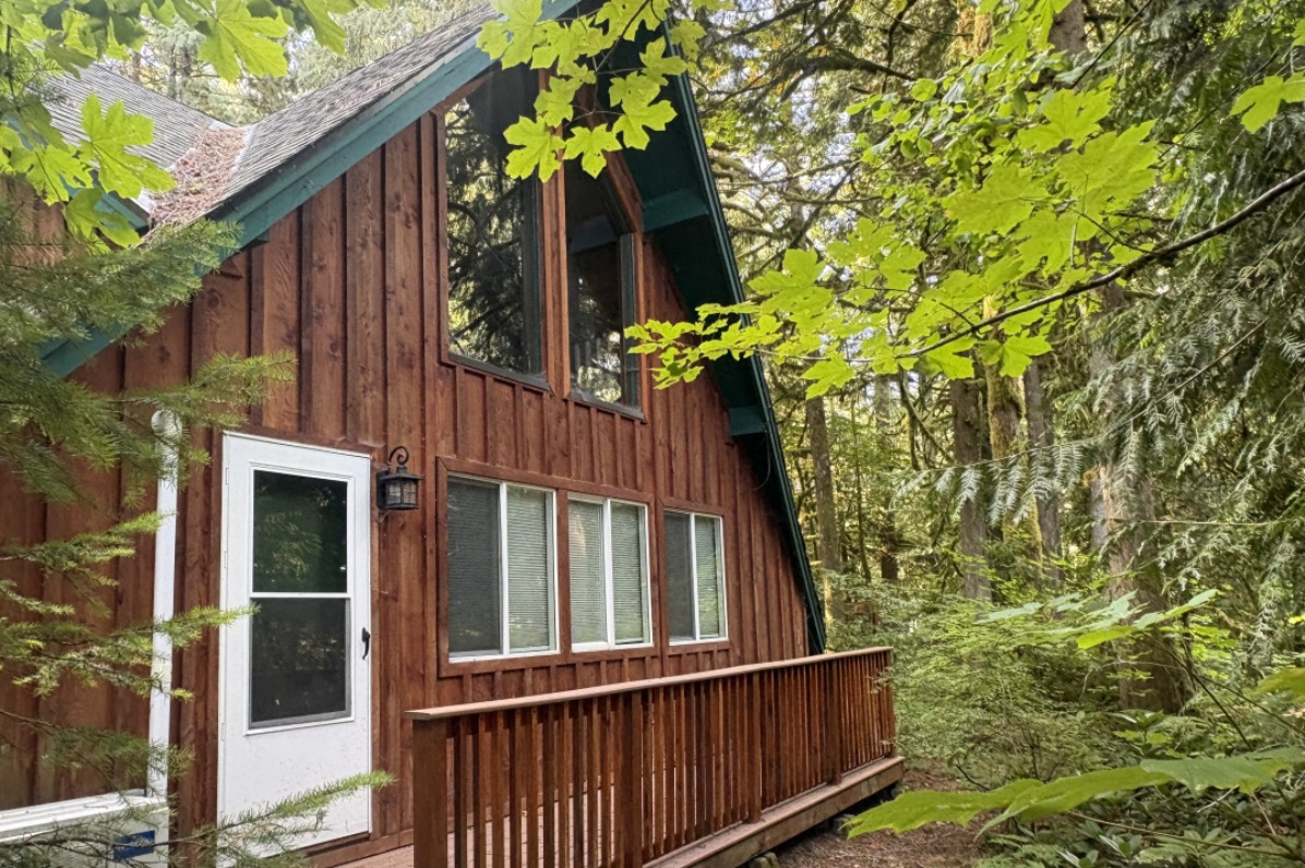 An a frame building with glass windows sits in a green tree grove