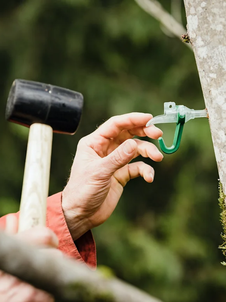 A hand holds a maple tap with a hammer