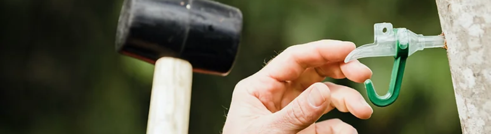 A hand holds a maple tap with a hammer