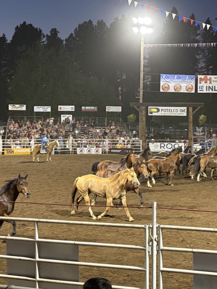 Horses run on brown dirt in a metal rodeo arena