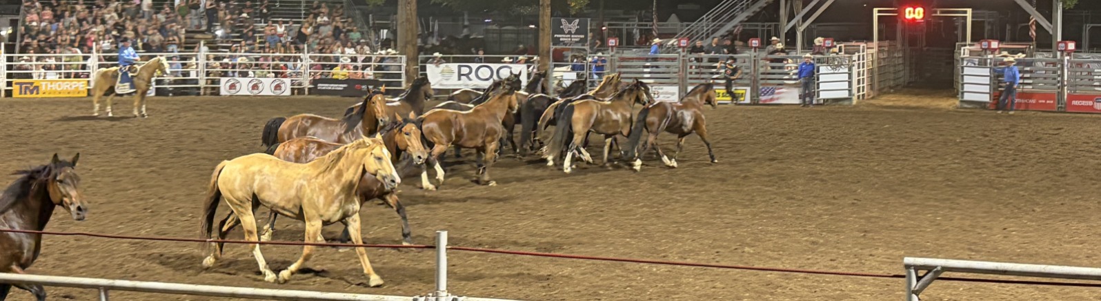 Horses run on brown dirt in a metal rodeo arena