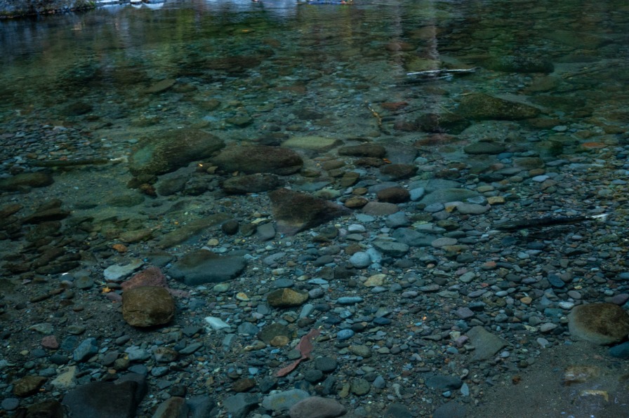 The Salmon River A river of water that is clear and you can see rocks
