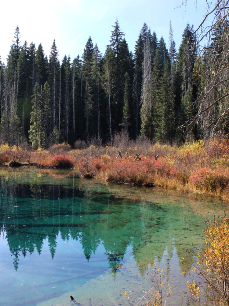A blue water lake surrounded by orange and brown bushes.