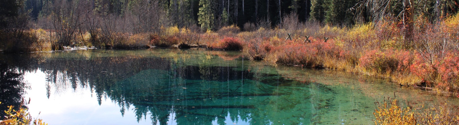 A blue water lake surrounded by orange and brown bushes.