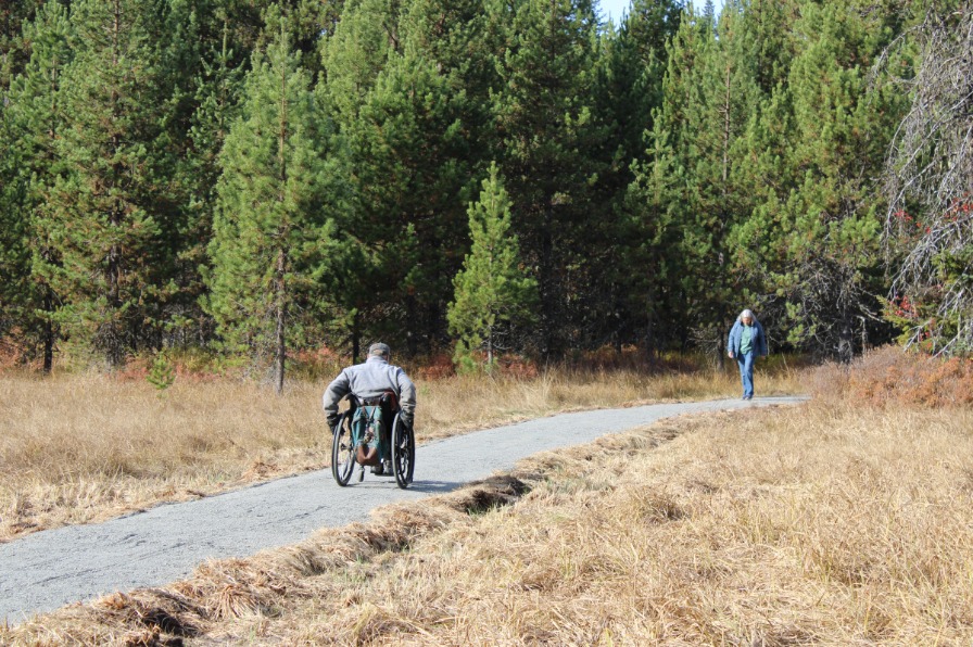 A person in a wheel chair goes down a gravel trail surrounded by green trees.