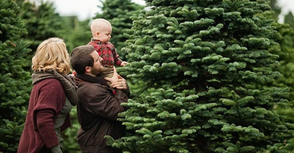 Estacada Is Home to Holiday Cheer Oregon's Mt. Hood Territory