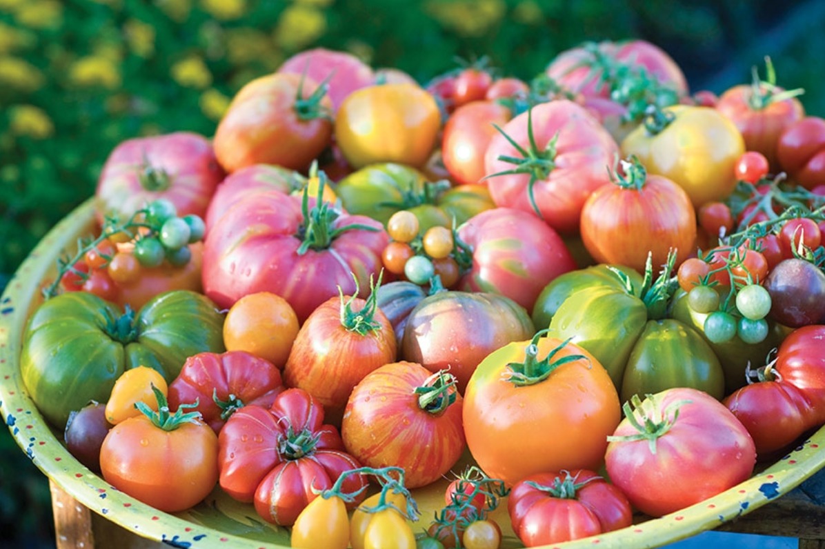 Large bowl of red and green heirloom, yellow pear and multi-colored clusters of grape tomatoes.