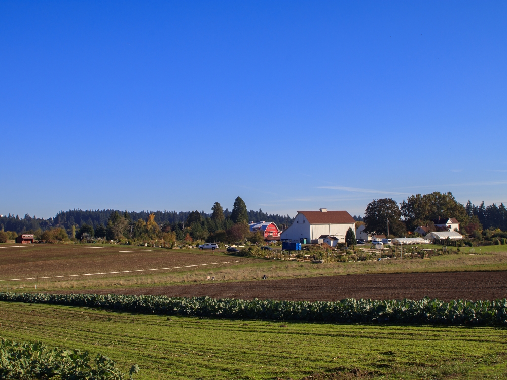 Oregon Agriculture U pick farms, Wineries, and Farmers' Markets
