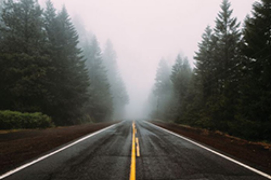Long view of a tree-lined corridor with deserted two lane highway with fog in distance