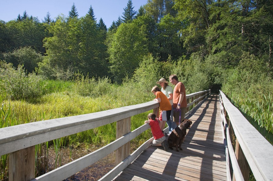 Wildwood Recreation Site, Wetland Boardwalk Trail